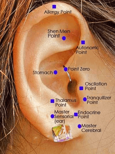 ear reflexology 3