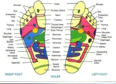 foot map 2